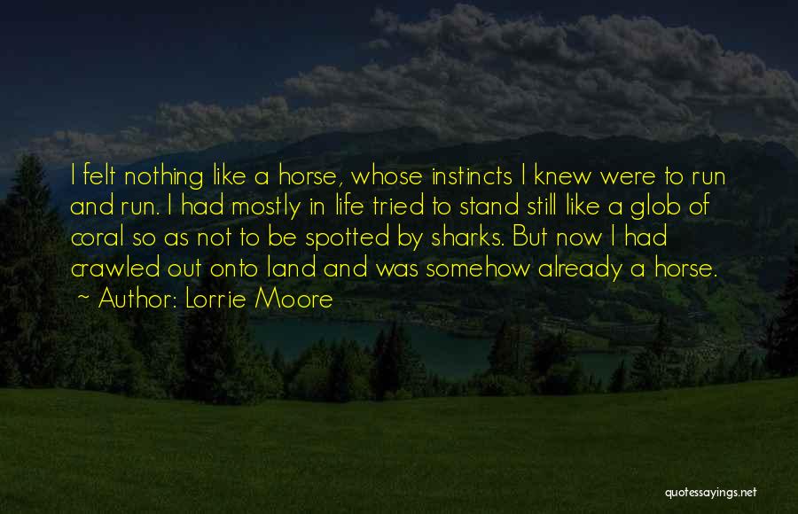 Lorrie Moore Quotes: I Felt Nothing Like A Horse, Whose Instincts I Knew Were To Run And Run. I Had Mostly In Life