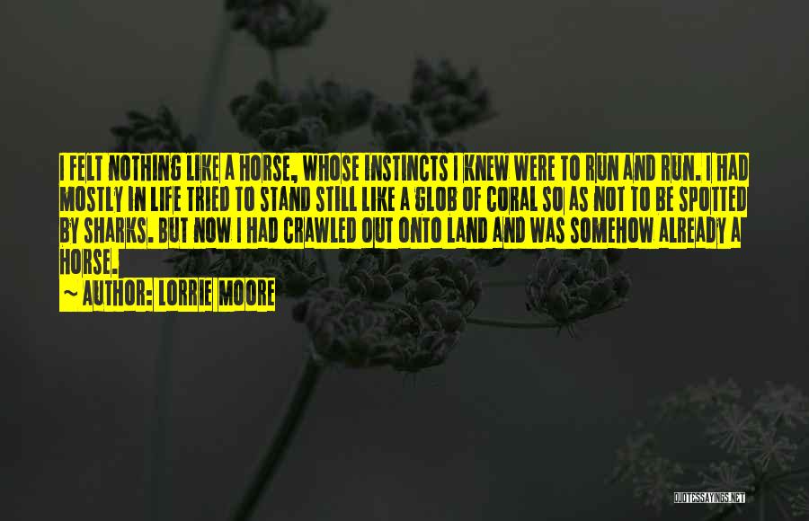 Lorrie Moore Quotes: I Felt Nothing Like A Horse, Whose Instincts I Knew Were To Run And Run. I Had Mostly In Life