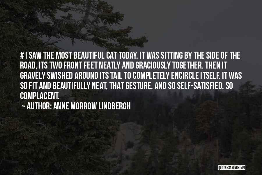 Anne Morrow Lindbergh Quotes: # I Saw The Most Beautiful Cat Today. It Was Sitting By The Side Of The Road, Its Two Front