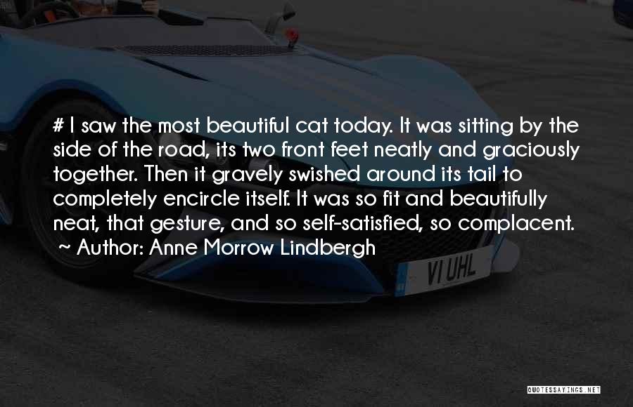 Anne Morrow Lindbergh Quotes: # I Saw The Most Beautiful Cat Today. It Was Sitting By The Side Of The Road, Its Two Front