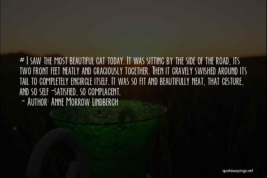 Anne Morrow Lindbergh Quotes: # I Saw The Most Beautiful Cat Today. It Was Sitting By The Side Of The Road, Its Two Front