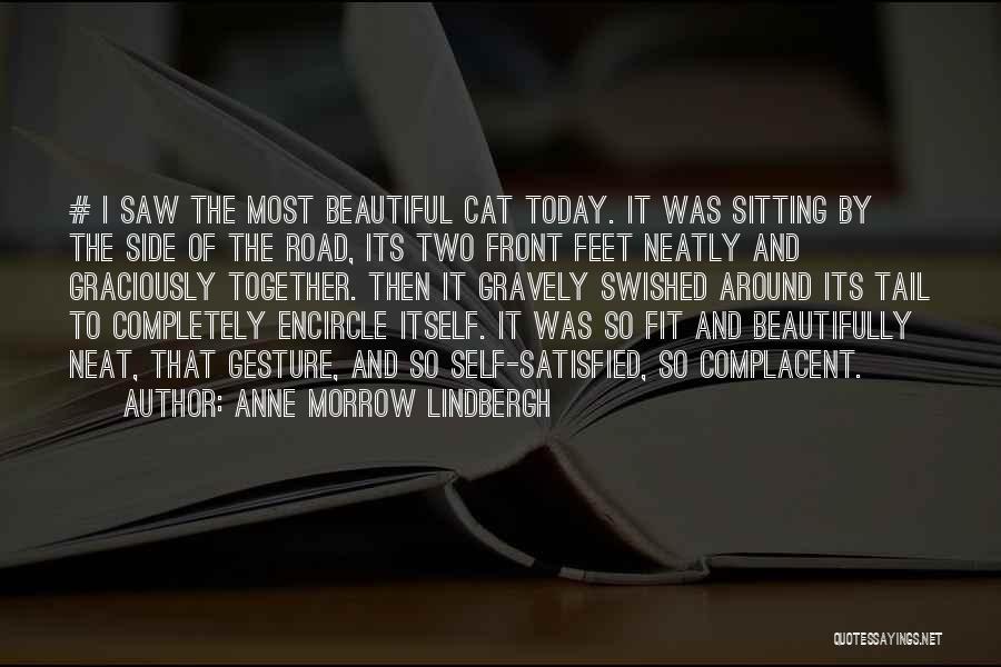 Anne Morrow Lindbergh Quotes: # I Saw The Most Beautiful Cat Today. It Was Sitting By The Side Of The Road, Its Two Front