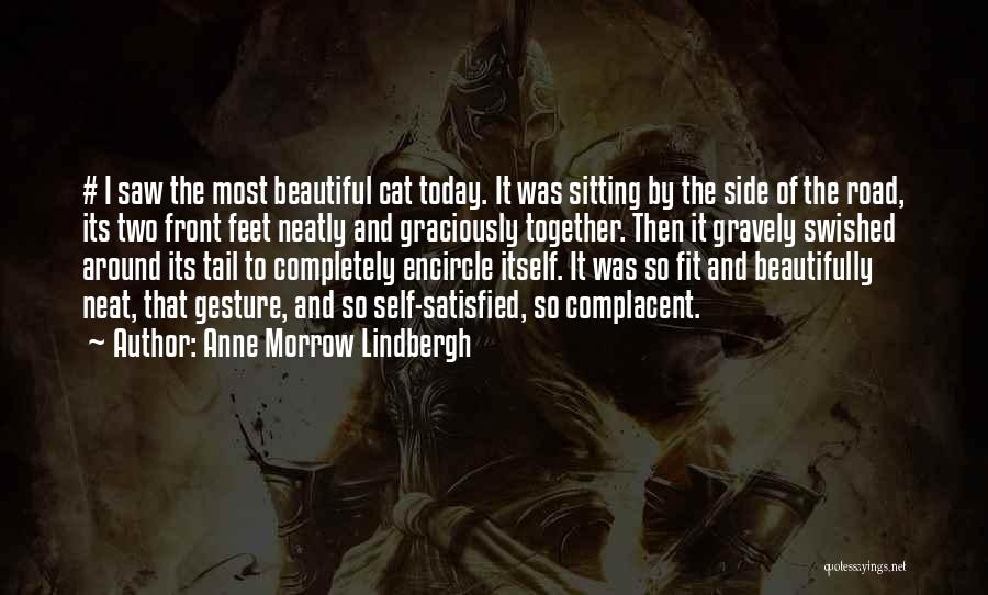 Anne Morrow Lindbergh Quotes: # I Saw The Most Beautiful Cat Today. It Was Sitting By The Side Of The Road, Its Two Front