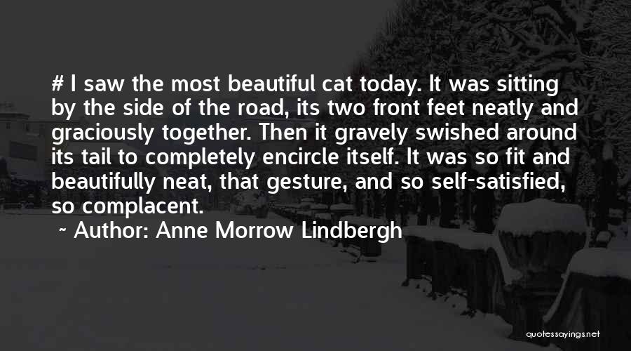 Anne Morrow Lindbergh Quotes: # I Saw The Most Beautiful Cat Today. It Was Sitting By The Side Of The Road, Its Two Front