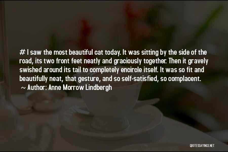 Anne Morrow Lindbergh Quotes: # I Saw The Most Beautiful Cat Today. It Was Sitting By The Side Of The Road, Its Two Front
