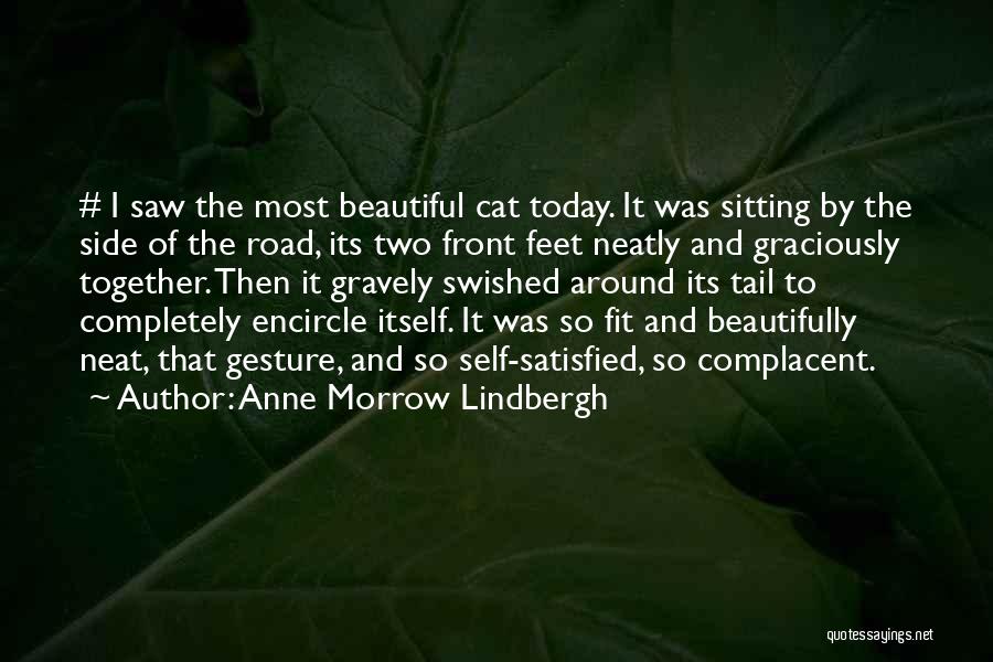 Anne Morrow Lindbergh Quotes: # I Saw The Most Beautiful Cat Today. It Was Sitting By The Side Of The Road, Its Two Front