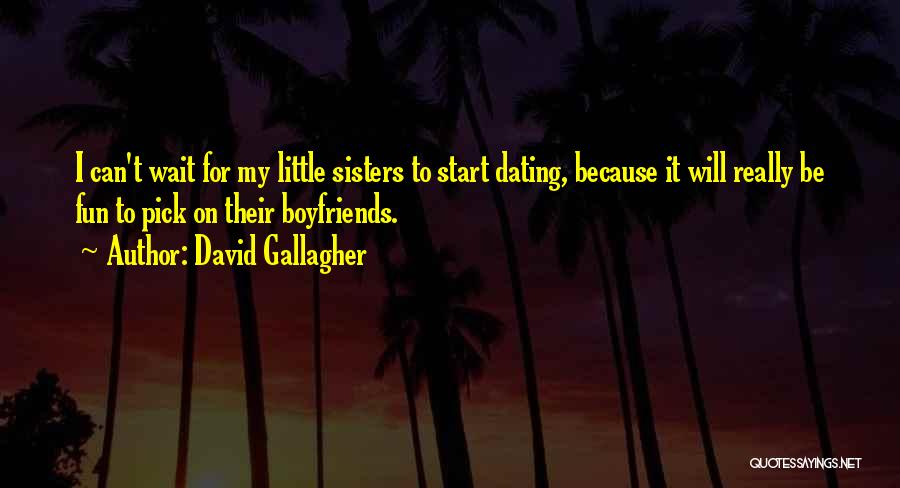 David Gallagher Quotes: I Can't Wait For My Little Sisters To Start Dating, Because It Will Really Be Fun To Pick On Their