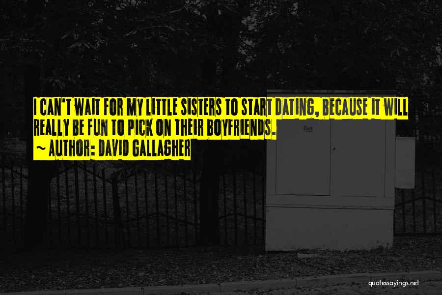 David Gallagher Quotes: I Can't Wait For My Little Sisters To Start Dating, Because It Will Really Be Fun To Pick On Their