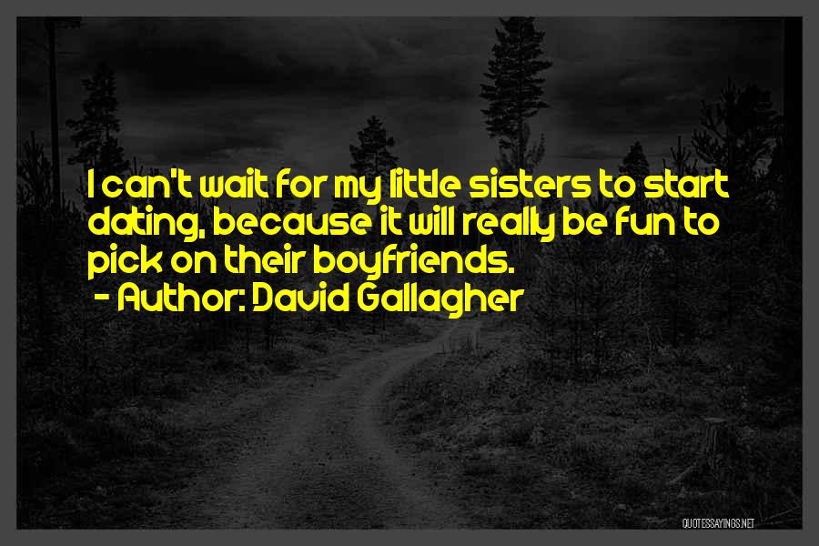 David Gallagher Quotes: I Can't Wait For My Little Sisters To Start Dating, Because It Will Really Be Fun To Pick On Their