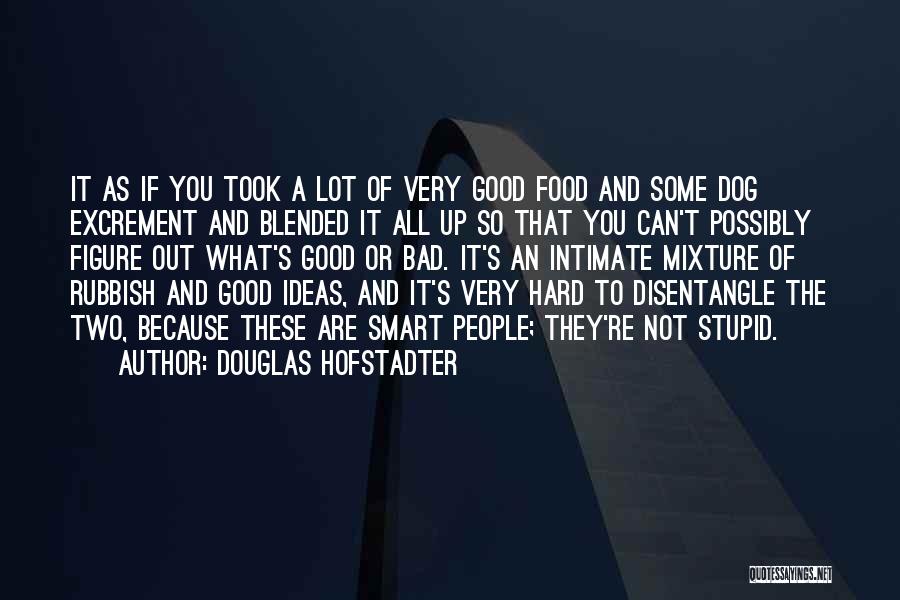 Douglas Hofstadter Quotes: It As If You Took A Lot Of Very Good Food And Some Dog Excrement And Blended It All Up