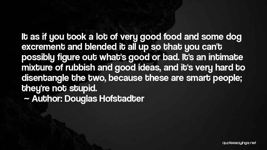 Douglas Hofstadter Quotes: It As If You Took A Lot Of Very Good Food And Some Dog Excrement And Blended It All Up