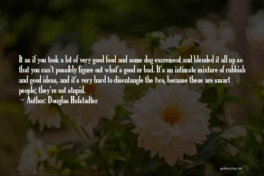 Douglas Hofstadter Quotes: It As If You Took A Lot Of Very Good Food And Some Dog Excrement And Blended It All Up