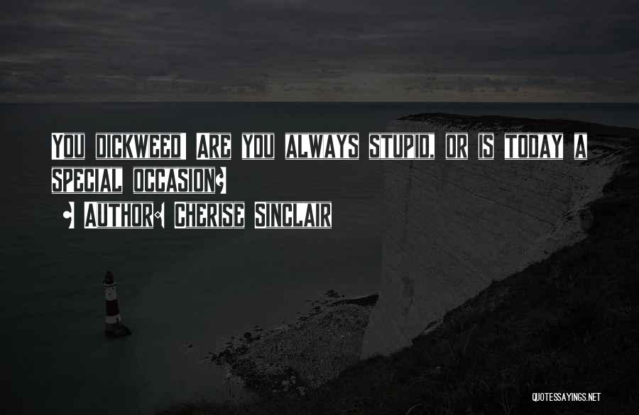 Cherise Sinclair Quotes: You Dickweed! Are You Always Stupid, Or Is Today A Special Occasion?