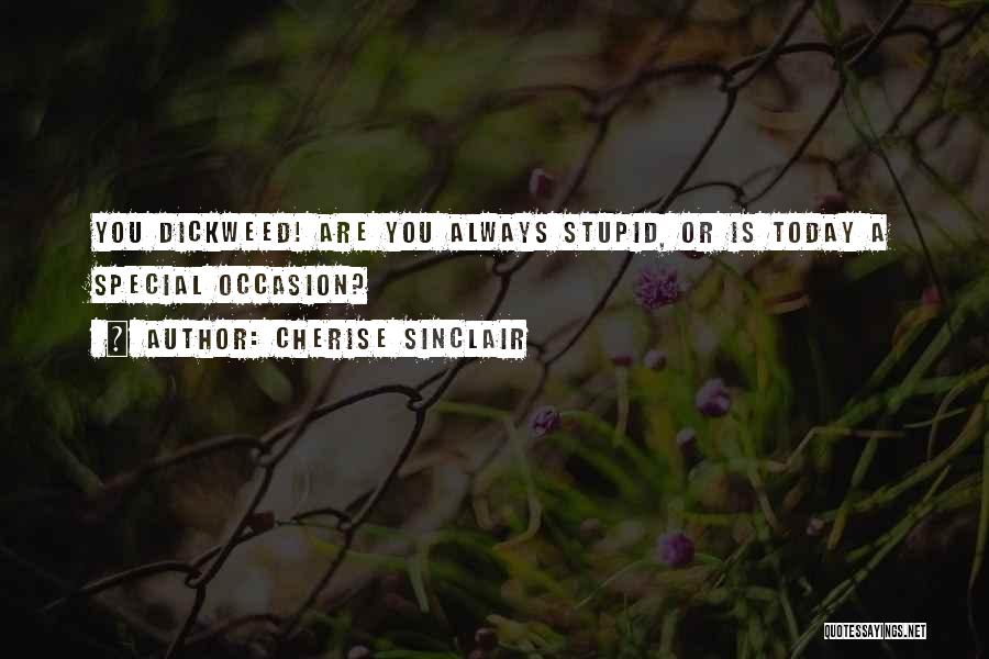 Cherise Sinclair Quotes: You Dickweed! Are You Always Stupid, Or Is Today A Special Occasion?