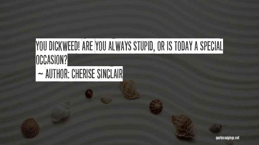 Cherise Sinclair Quotes: You Dickweed! Are You Always Stupid, Or Is Today A Special Occasion?