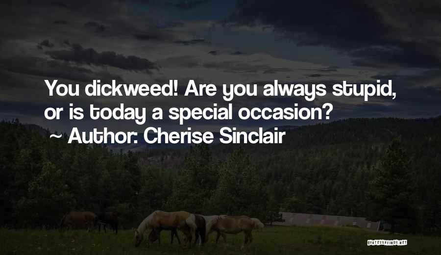 Cherise Sinclair Quotes: You Dickweed! Are You Always Stupid, Or Is Today A Special Occasion?