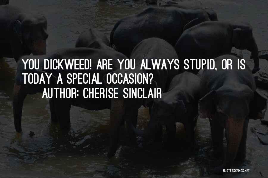 Cherise Sinclair Quotes: You Dickweed! Are You Always Stupid, Or Is Today A Special Occasion?