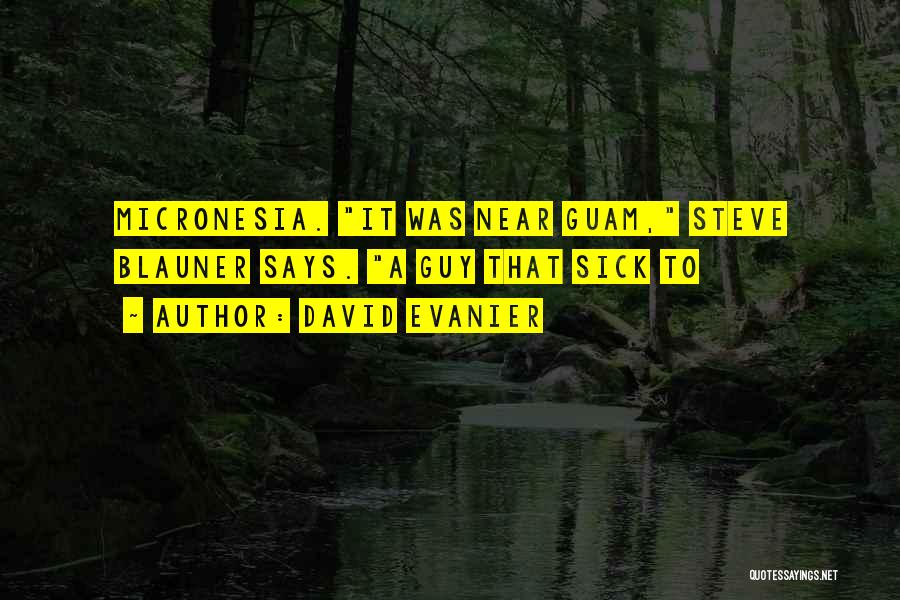 David Evanier Quotes: Micronesia. It Was Near Guam, Steve Blauner Says. A Guy That Sick To