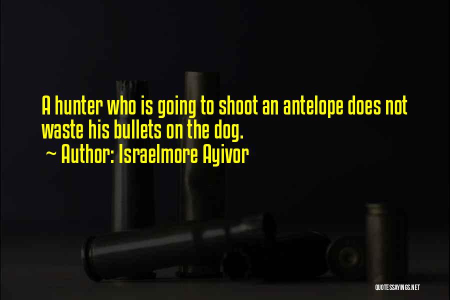 Israelmore Ayivor Quotes: A Hunter Who Is Going To Shoot An Antelope Does Not Waste His Bullets On The Dog.