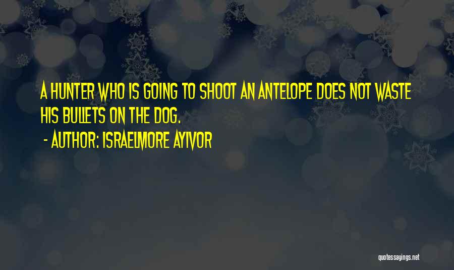 Israelmore Ayivor Quotes: A Hunter Who Is Going To Shoot An Antelope Does Not Waste His Bullets On The Dog.