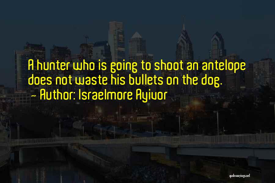 Israelmore Ayivor Quotes: A Hunter Who Is Going To Shoot An Antelope Does Not Waste His Bullets On The Dog.