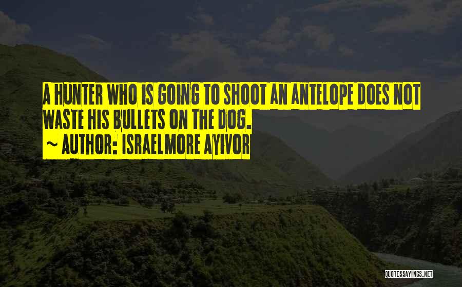 Israelmore Ayivor Quotes: A Hunter Who Is Going To Shoot An Antelope Does Not Waste His Bullets On The Dog.
