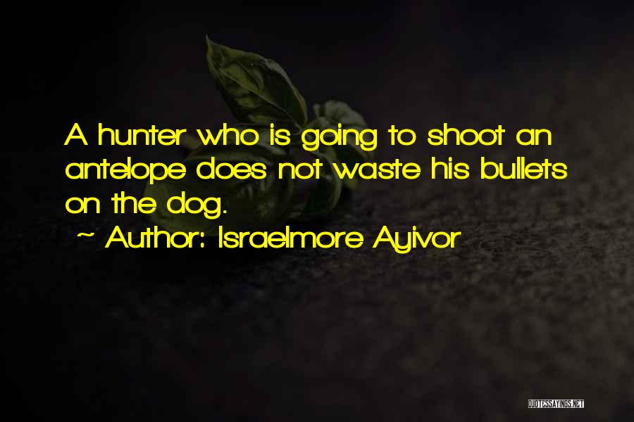 Israelmore Ayivor Quotes: A Hunter Who Is Going To Shoot An Antelope Does Not Waste His Bullets On The Dog.