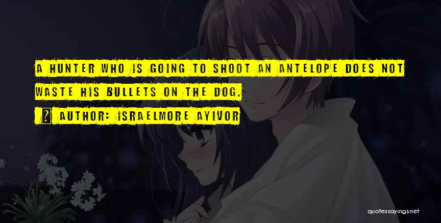 Israelmore Ayivor Quotes: A Hunter Who Is Going To Shoot An Antelope Does Not Waste His Bullets On The Dog.