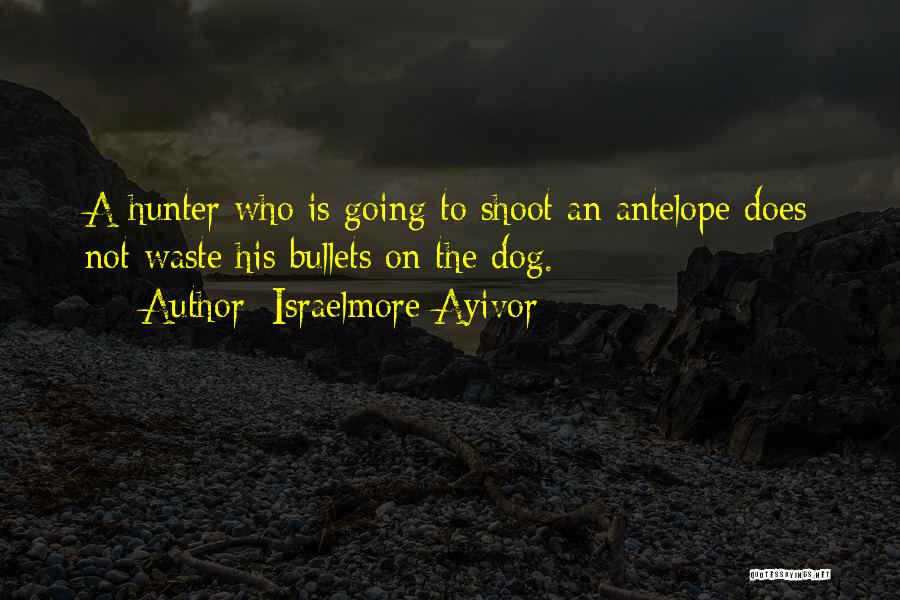 Israelmore Ayivor Quotes: A Hunter Who Is Going To Shoot An Antelope Does Not Waste His Bullets On The Dog.