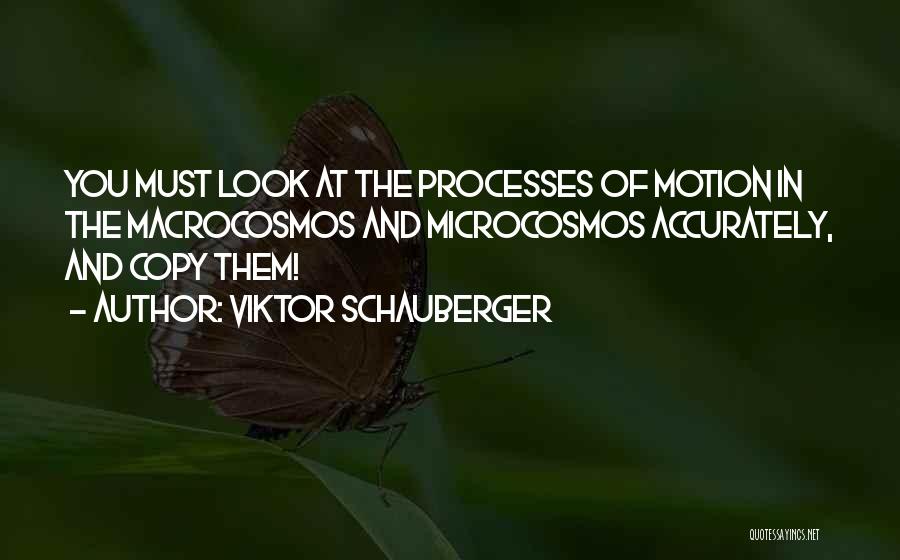 Viktor Schauberger Quotes: You Must Look At The Processes Of Motion In The Macrocosmos And Microcosmos Accurately, And Copy Them!