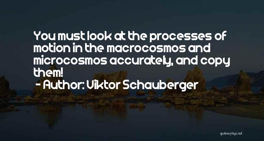 Viktor Schauberger Quotes: You Must Look At The Processes Of Motion In The Macrocosmos And Microcosmos Accurately, And Copy Them!