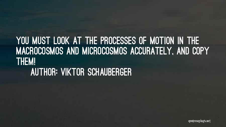 Viktor Schauberger Quotes: You Must Look At The Processes Of Motion In The Macrocosmos And Microcosmos Accurately, And Copy Them!