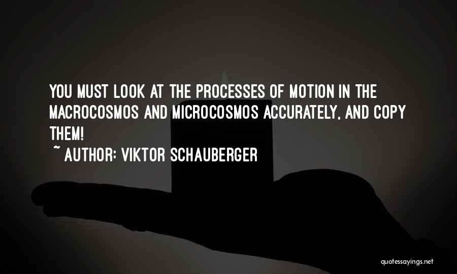 Viktor Schauberger Quotes: You Must Look At The Processes Of Motion In The Macrocosmos And Microcosmos Accurately, And Copy Them!