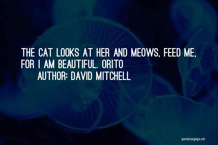 David Mitchell Quotes: The Cat Looks At Her And Meows, Feed Me, For I Am Beautiful. Orito