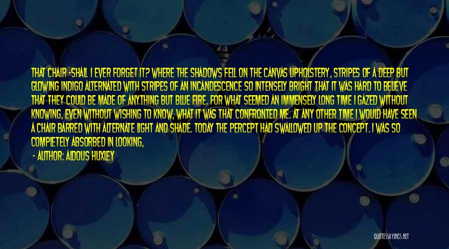 Aldous Huxley Quotes: That Chair -shall I Ever Forget It? Where The Shadows Fell On The Canvas Upholstery, Stripes Of A Deep But