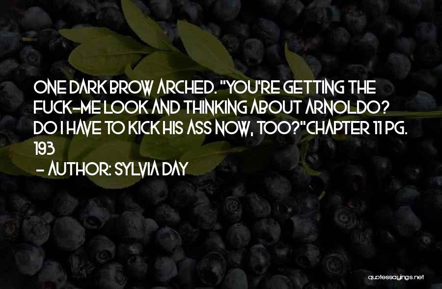 Sylvia Day Quotes: One Dark Brow Arched. You're Getting The Fuck-me Look And Thinking About Arnoldo? Do I Have To Kick His Ass