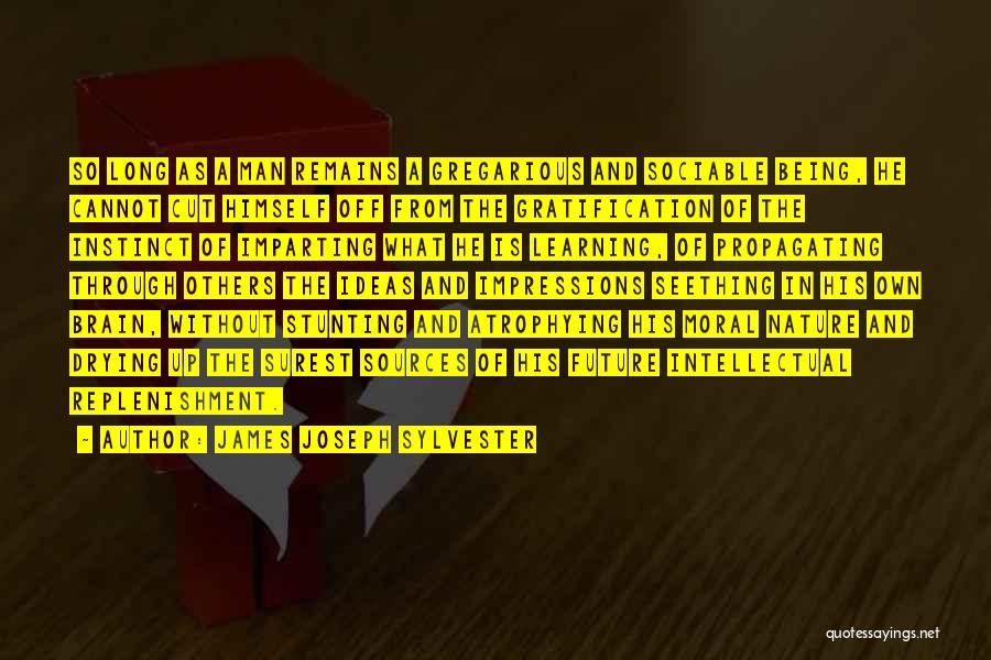 James Joseph Sylvester Quotes: So Long As A Man Remains A Gregarious And Sociable Being, He Cannot Cut Himself Off From The Gratification Of