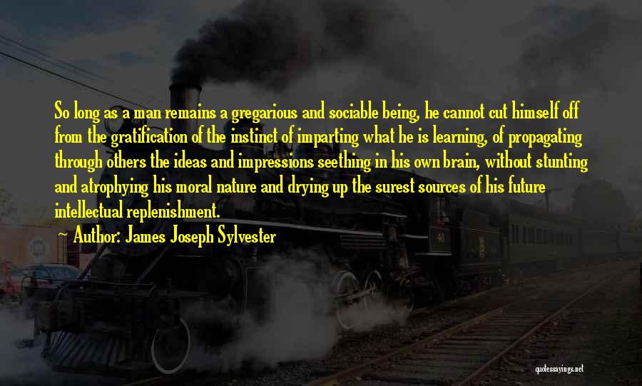 James Joseph Sylvester Quotes: So Long As A Man Remains A Gregarious And Sociable Being, He Cannot Cut Himself Off From The Gratification Of