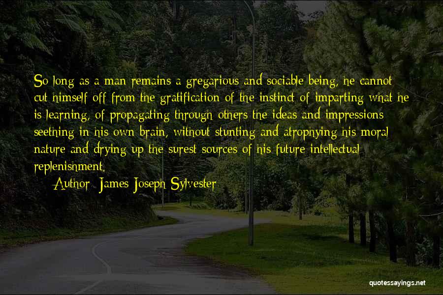 James Joseph Sylvester Quotes: So Long As A Man Remains A Gregarious And Sociable Being, He Cannot Cut Himself Off From The Gratification Of