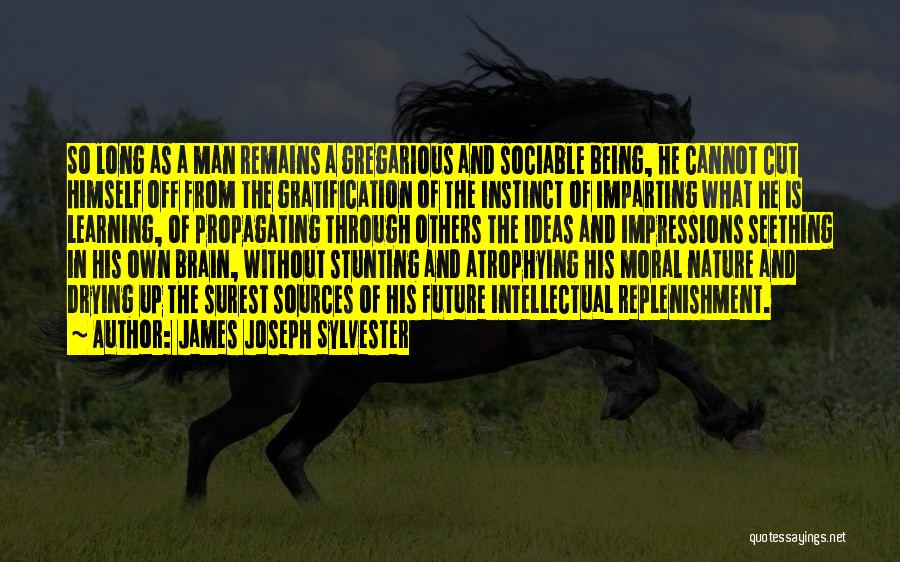 James Joseph Sylvester Quotes: So Long As A Man Remains A Gregarious And Sociable Being, He Cannot Cut Himself Off From The Gratification Of