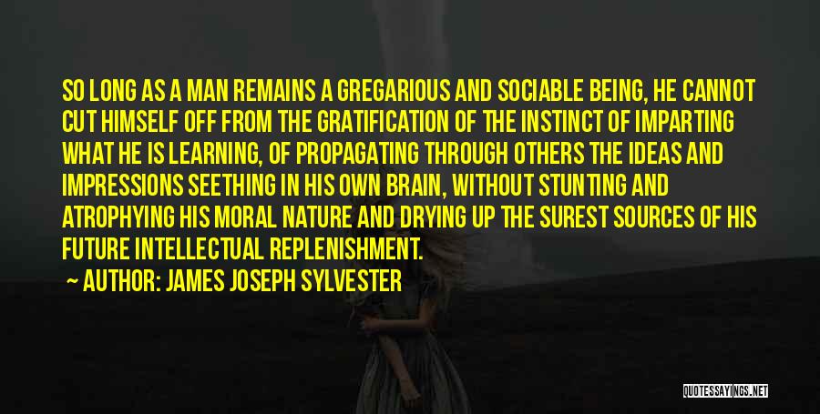 James Joseph Sylvester Quotes: So Long As A Man Remains A Gregarious And Sociable Being, He Cannot Cut Himself Off From The Gratification Of