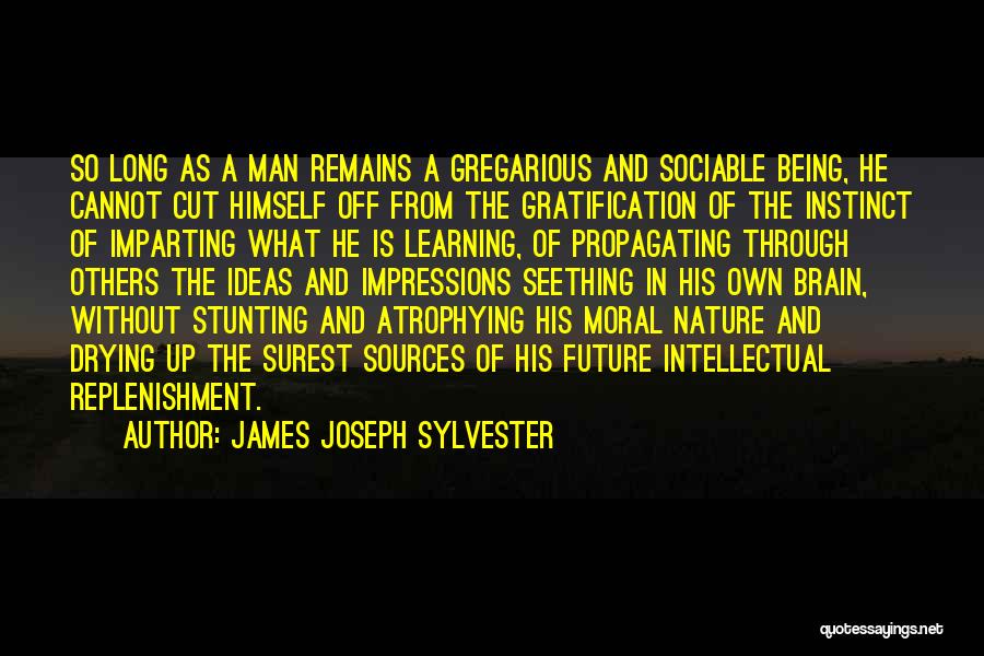 James Joseph Sylvester Quotes: So Long As A Man Remains A Gregarious And Sociable Being, He Cannot Cut Himself Off From The Gratification Of