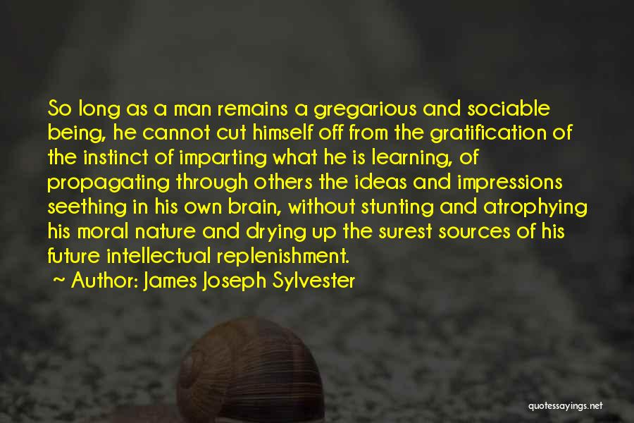 James Joseph Sylvester Quotes: So Long As A Man Remains A Gregarious And Sociable Being, He Cannot Cut Himself Off From The Gratification Of