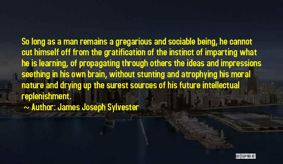 James Joseph Sylvester Quotes: So Long As A Man Remains A Gregarious And Sociable Being, He Cannot Cut Himself Off From The Gratification Of