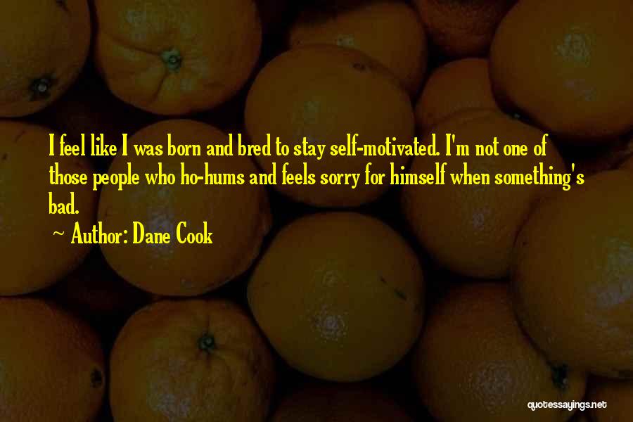 Dane Cook Quotes: I Feel Like I Was Born And Bred To Stay Self-motivated. I'm Not One Of Those People Who Ho-hums And