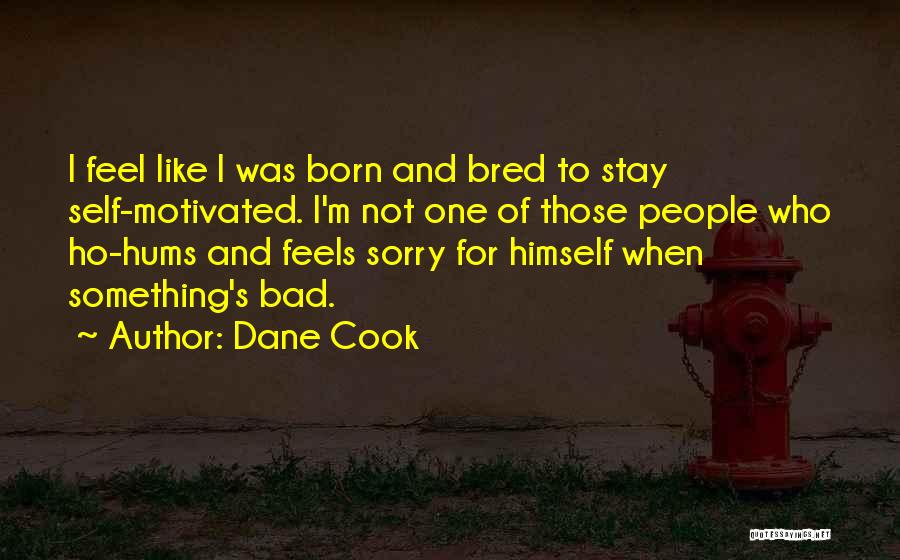 Dane Cook Quotes: I Feel Like I Was Born And Bred To Stay Self-motivated. I'm Not One Of Those People Who Ho-hums And