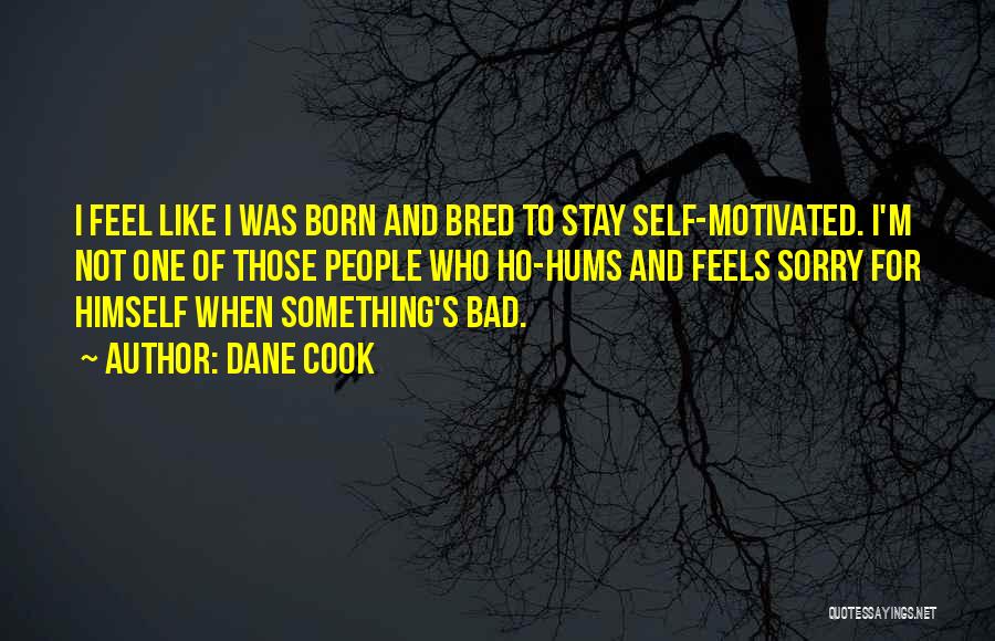 Dane Cook Quotes: I Feel Like I Was Born And Bred To Stay Self-motivated. I'm Not One Of Those People Who Ho-hums And