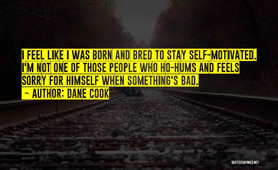 Dane Cook Quotes: I Feel Like I Was Born And Bred To Stay Self-motivated. I'm Not One Of Those People Who Ho-hums And