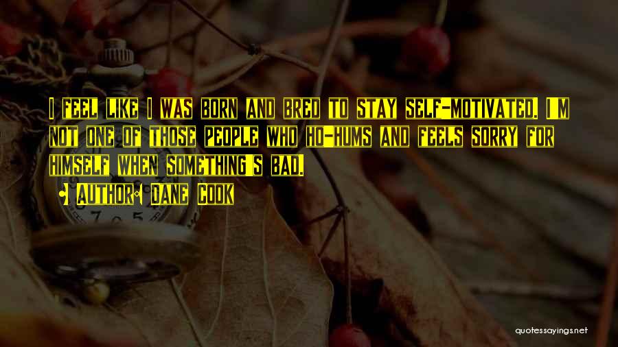 Dane Cook Quotes: I Feel Like I Was Born And Bred To Stay Self-motivated. I'm Not One Of Those People Who Ho-hums And