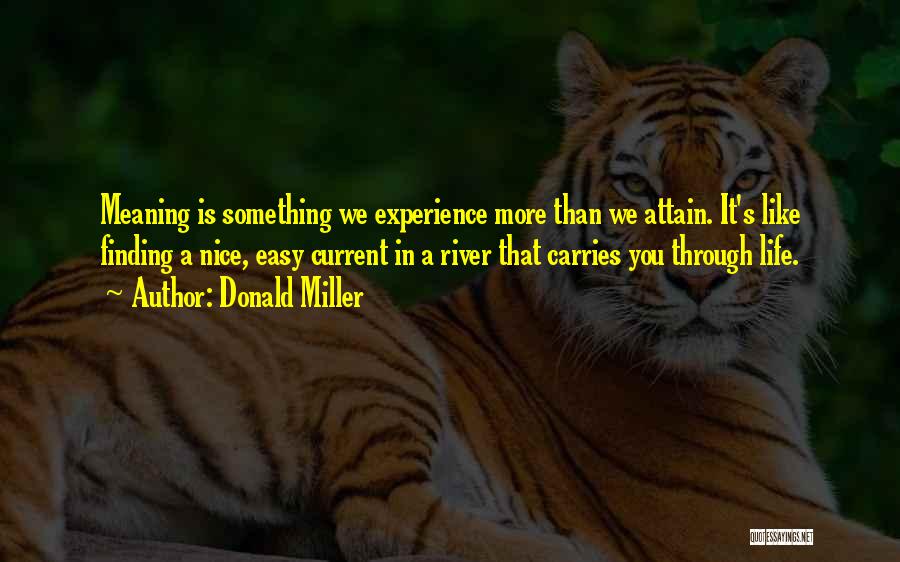 Donald Miller Quotes: Meaning Is Something We Experience More Than We Attain. It's Like Finding A Nice, Easy Current In A River That